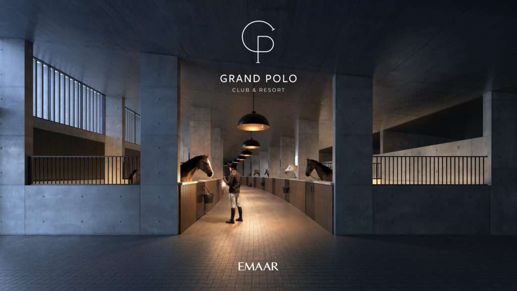 GRAND POLO IMAGE18