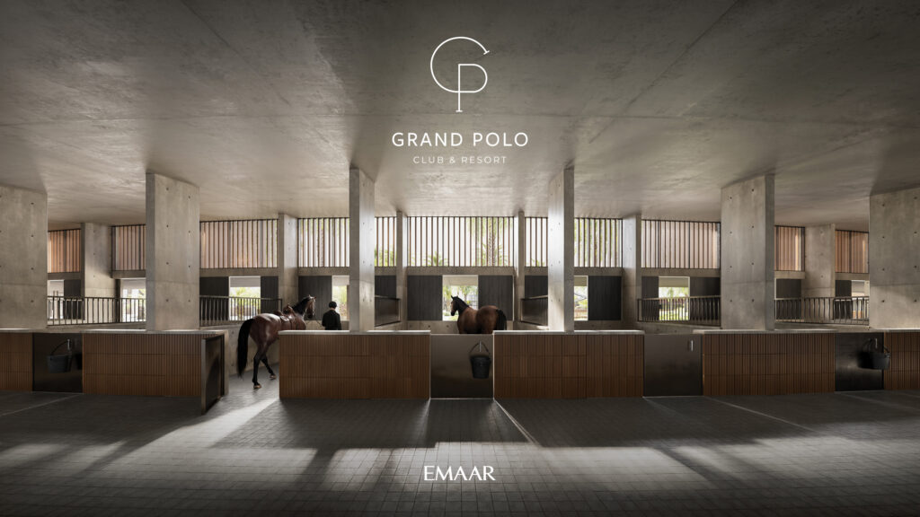 GRAND POLO IMAGE19